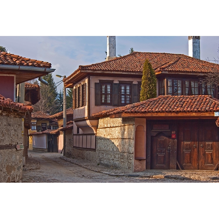 koprivstitca2_700x700_pad_478b24840a