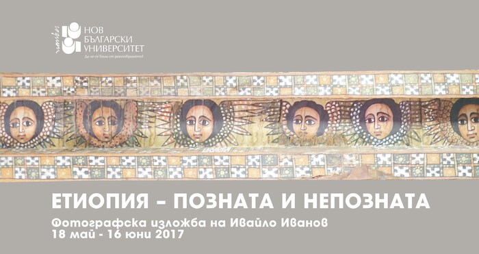 head-fb_700x700_fit_478b24840a