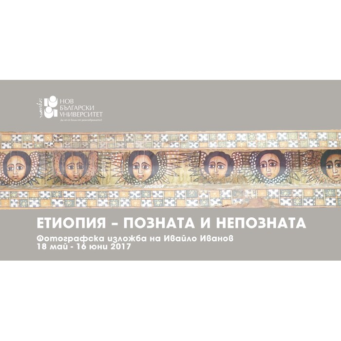 head-fb_700x700_pad_478b24840a