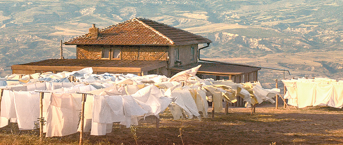 7560-jajda-poster_700x700_fit_478b24840a