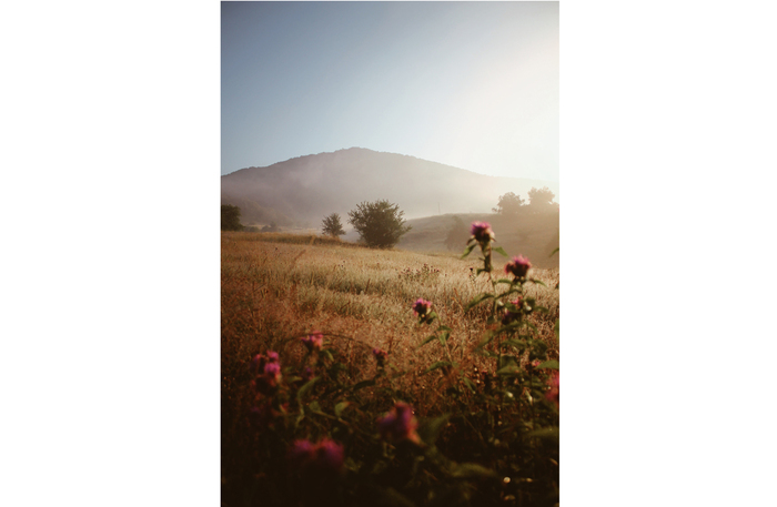 peizaj-11_700x700_fit_478b24840a