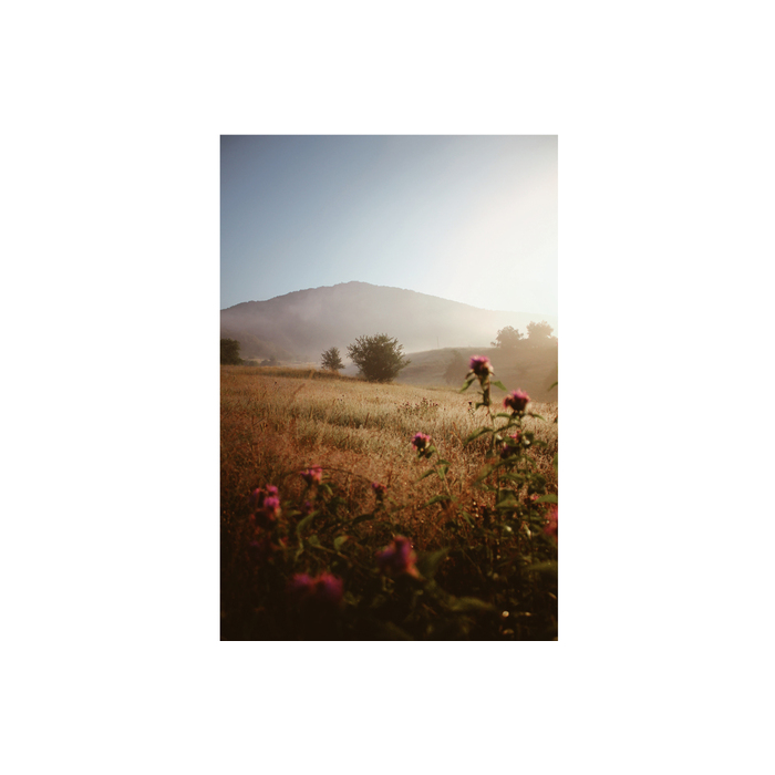 peizaj-11_700x700_pad_478b24840a