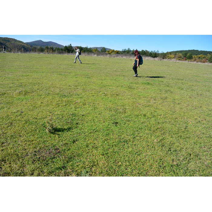 terenno-prouchvane-archeology_700x700_pad_478b24840a