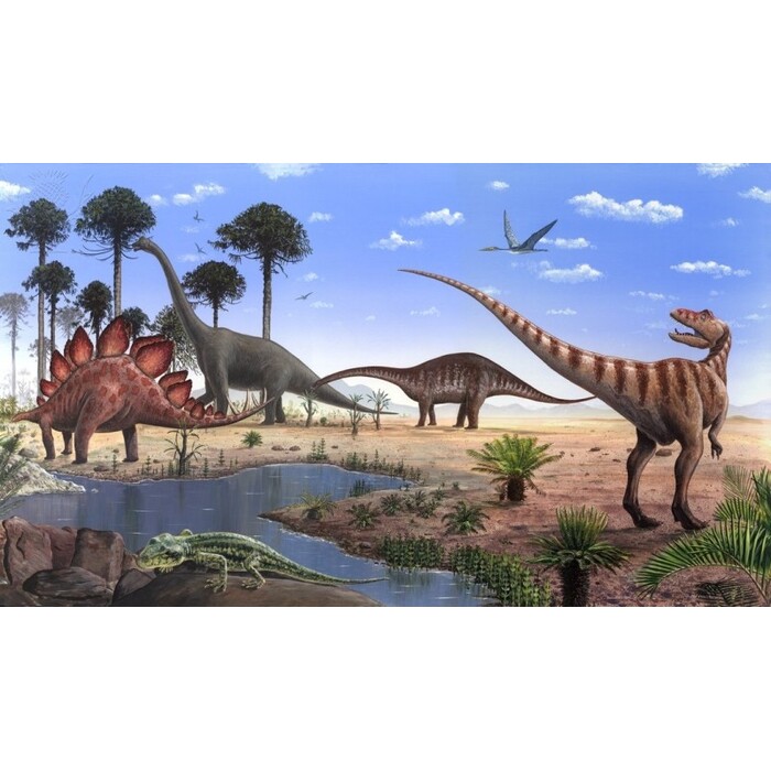 10-zaiavka-za-sabitie-izlogba_700x700_pad_478b24840a