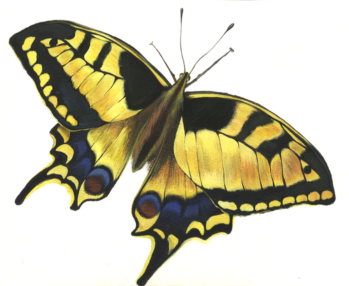 2_700x700_fit_478b24840a