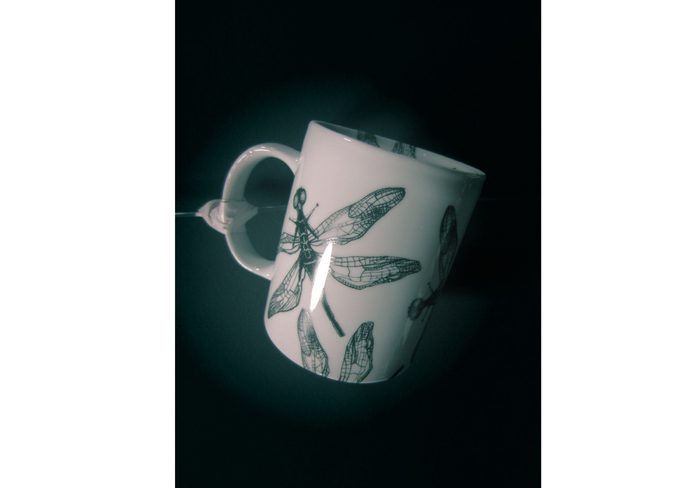 glazureni_700x700_fit_478b24840a