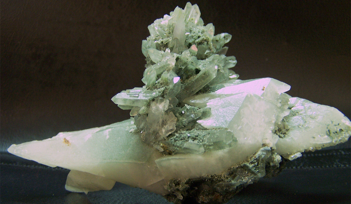 prirodni-nauki_700x700_fit_478b24840a