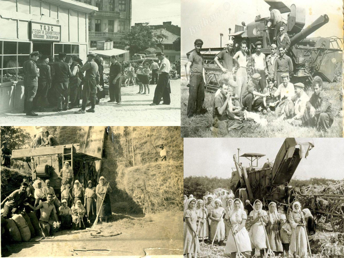 kolektivizaciya_700x700_fit_478b24840a