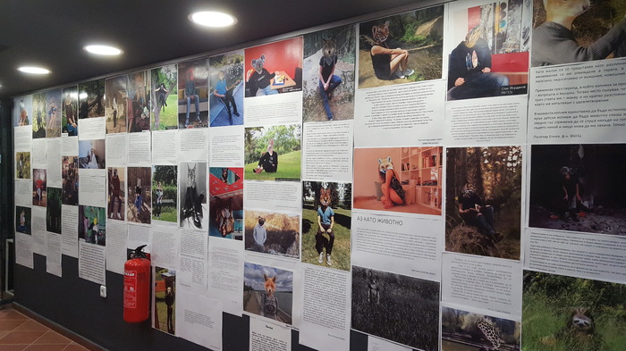 1_700x700_fit_478b24840a