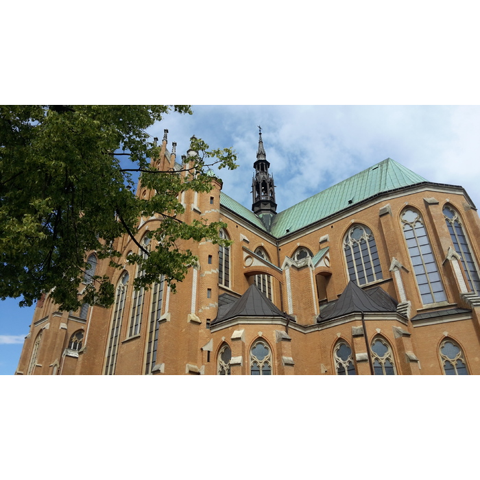 id02_700x700_pad_478b24840a