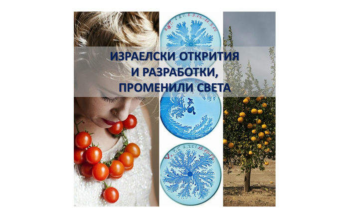 izlojba_700x700_fit_478b24840a