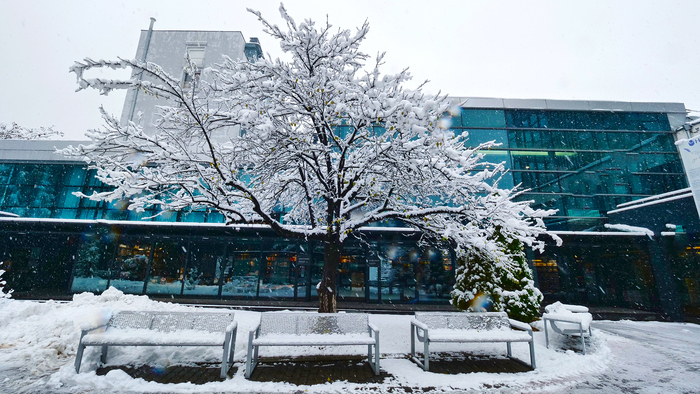 p1200402-copy_700x700_fit_478b24840a