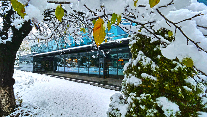 p1200486-copy_700x700_fit_478b24840a