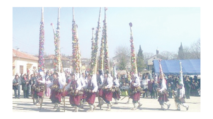 surva_700x700_fit_478b24840a