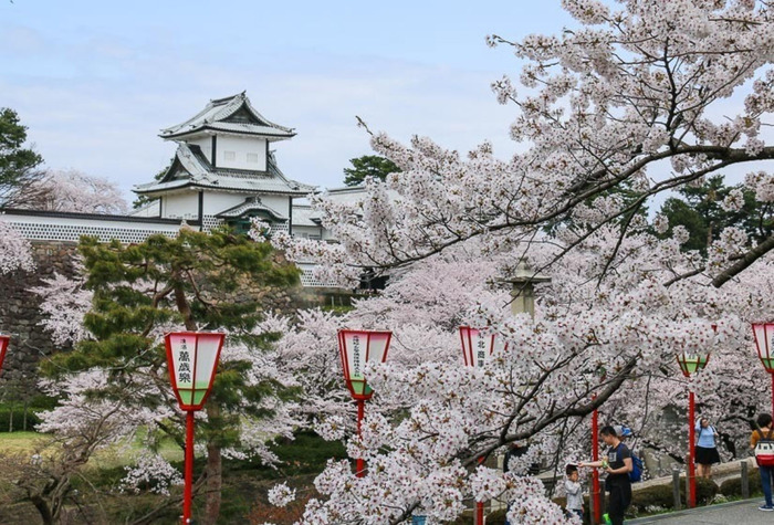 castle_700x700_fit_478b24840a