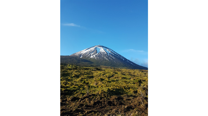 piko_700x700_fit_478b24840a