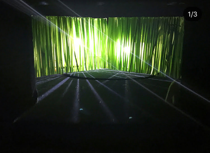 untitled-1_700x700_fit_478b24840a