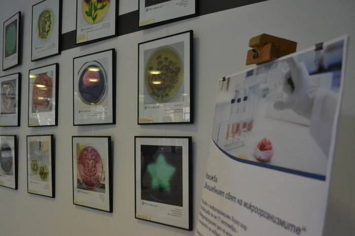 dsc-0312_700x700_fit_478b24840a