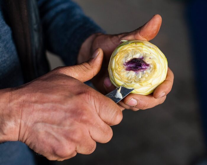 15774747-1621130611515596-4402320342569747941-o_700x700_fit_478b24840a