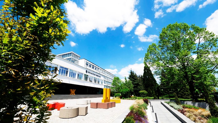 96822959-315170589466817-490881308432531456-n_700x700_fit_478b24840a