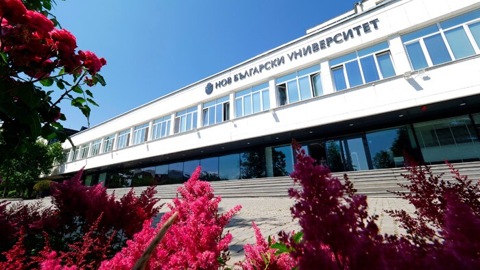 106342050-851216235287135-132623124400058877-n_700x700_fit_478b24840a