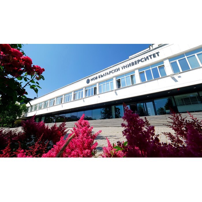 106342050-851216235287135-132623124400058877-n_700x700_pad_478b24840a