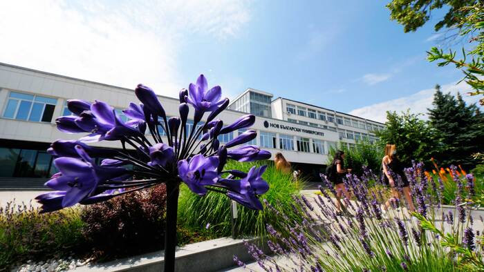 1899019_700x700_fit_478b24840a