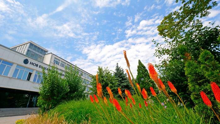 1888821_700x700_fit_478b24840a