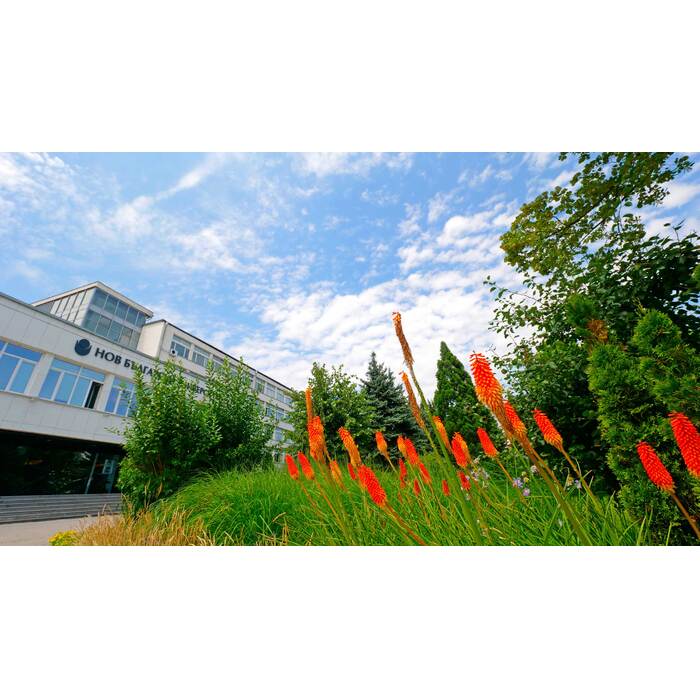 1888821_700x700_pad_478b24840a