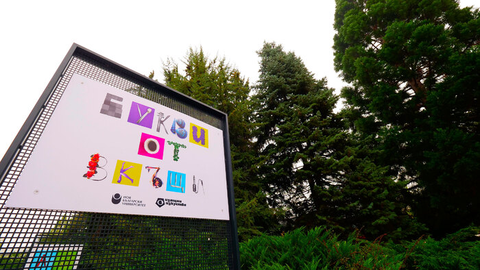 1955839_700x700_fit_478b24840a