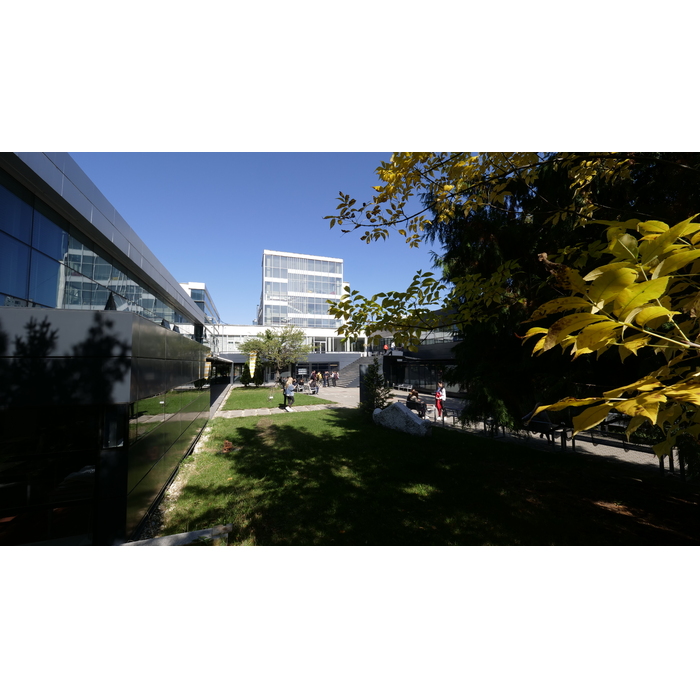 1500402_700x700_pad_478b24840a