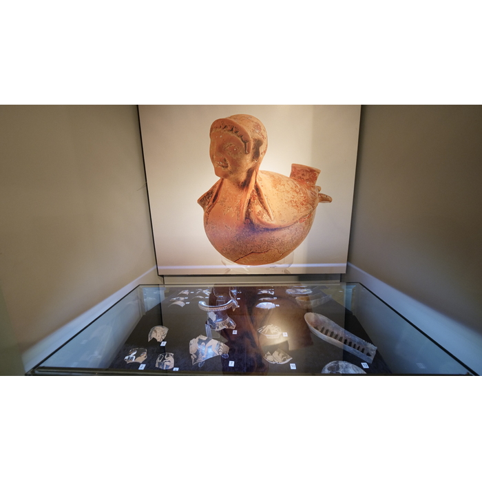 1655762_700x700_pad_478b24840a