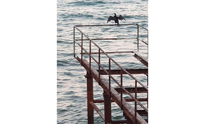 edna-snimka_700x700_fit_478b24840a