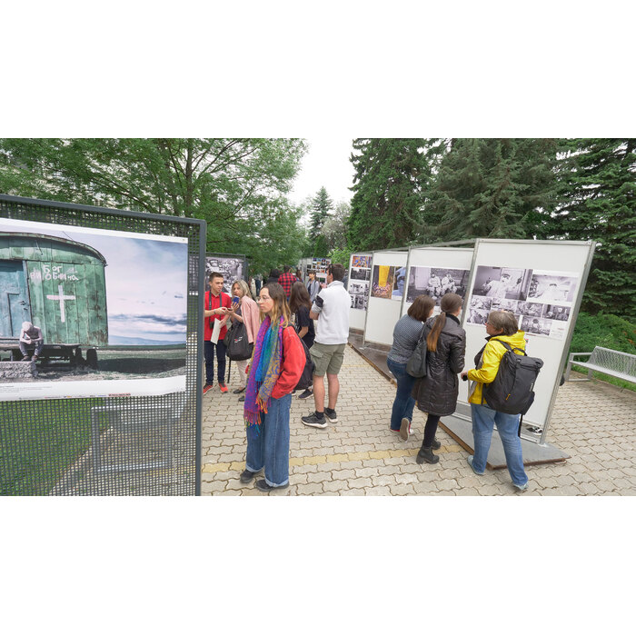 2255307_700x700_pad_478b24840a