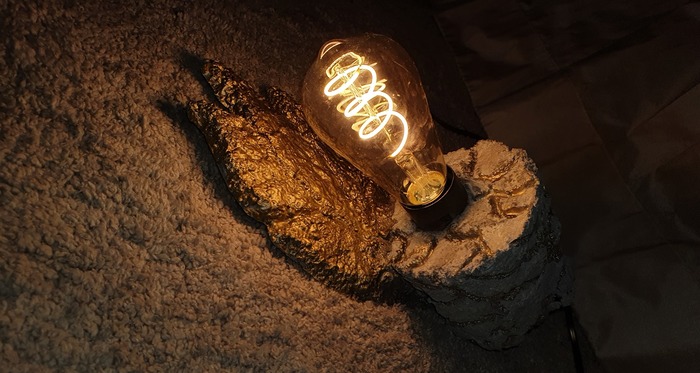 202003471-4264439570272726-6196394057108016906-n_700x700_fit_478b24840a