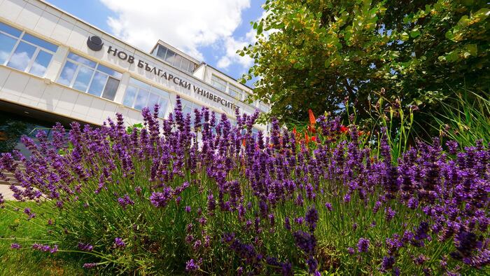 212736703-4493192367378877-5089619417225622622-n_700x700_fit_478b24840a