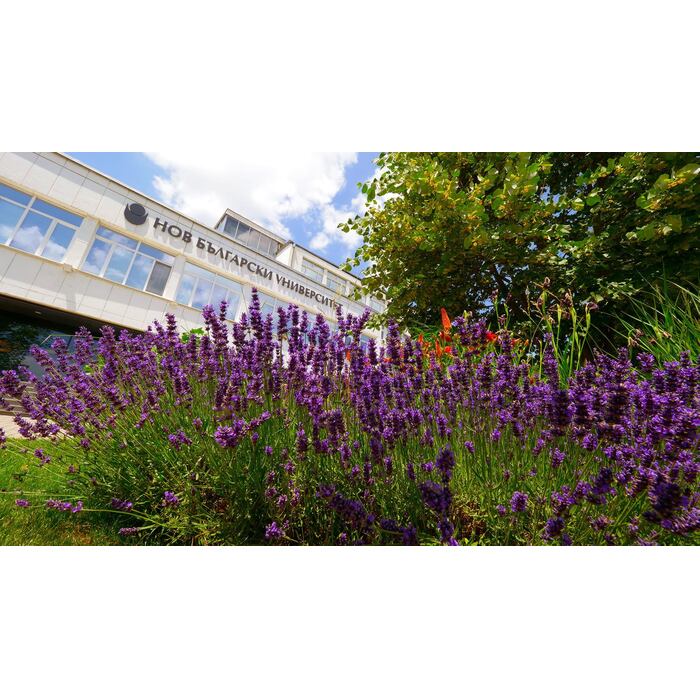 212736703-4493192367378877-5089619417225622622-n_700x700_pad_478b24840a