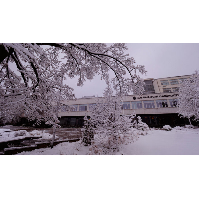 2455131_700x700_pad_478b24840a