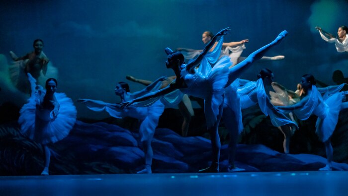 182693744-5421837747887186-4969855388561136312-n_700x700_fit_478b24840a