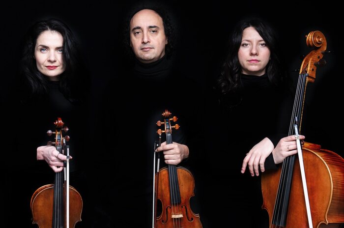 261236643-2139391666213059-7018476223693812059-n_700x700_fit_478b24840a