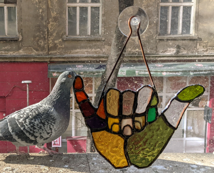 i4_700x700_fit_478b24840a