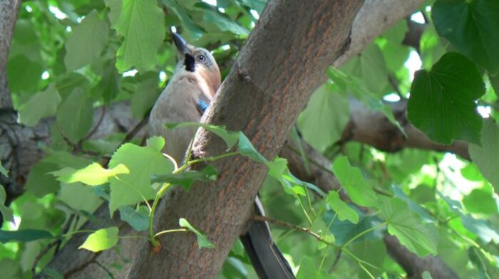 1934379-1080734300760-2607161-n_700x700_fit_478b24840a