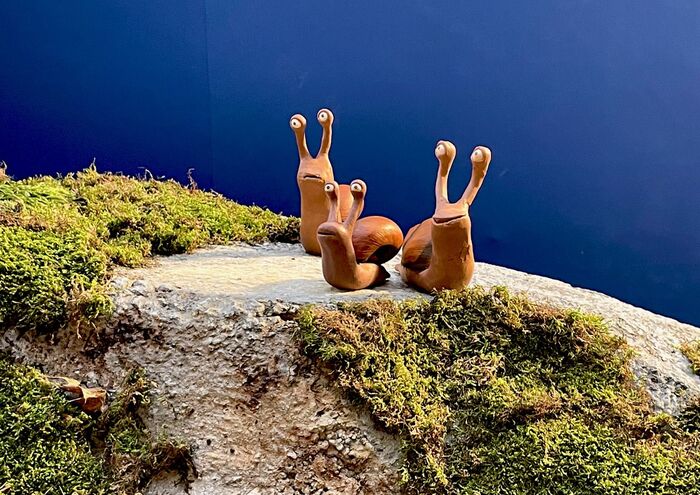 img-0433_700x700_fit_478b24840a