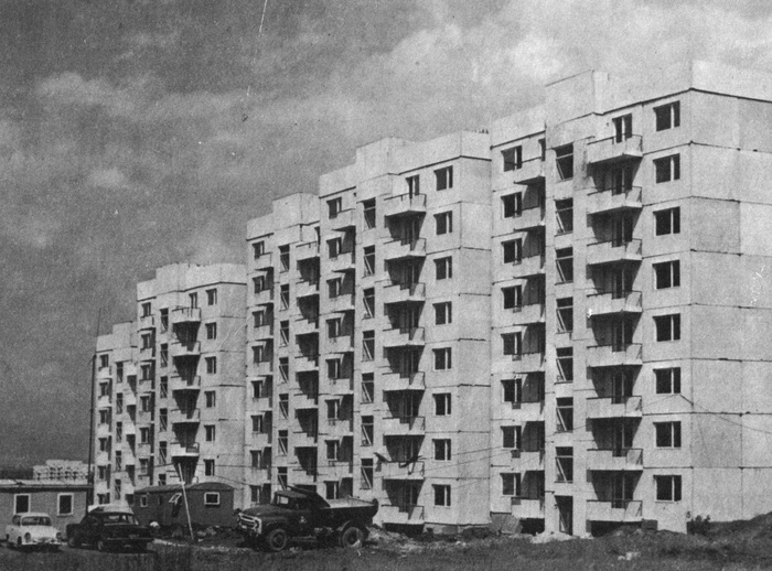 lulin_700x700_fit_478b24840a