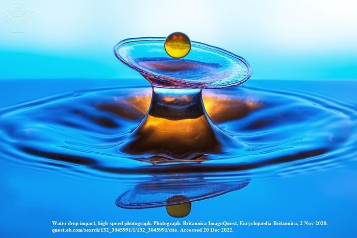 3-zaiavka-za-sabitie19-01_700x700_fit_478b24840a