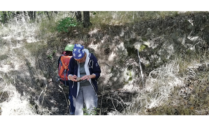 img-20200920-120703_700x700_fit_478b24840a