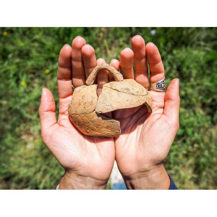 2_700x700_pad_478b24840a