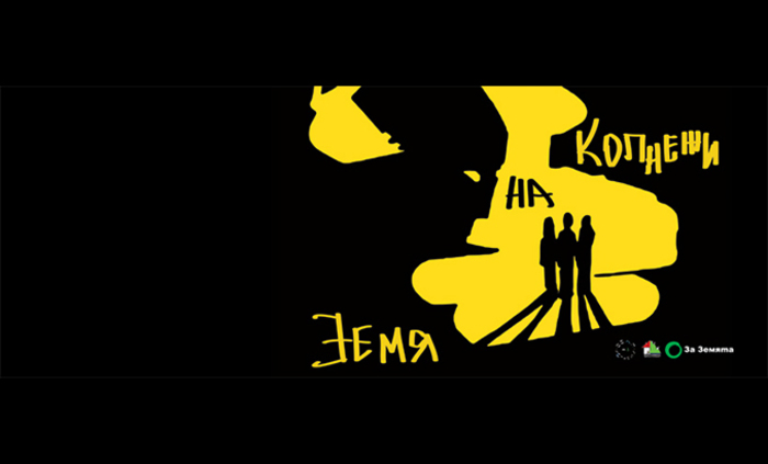 333272110-1154884018557055-7309729820342033956-n_700x700_fit_478b24840a