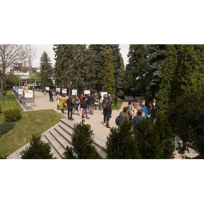 2888319_700x700_pad_478b24840a