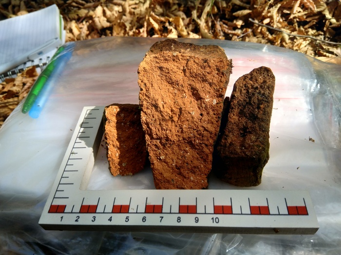 img-20200920-110718_700x700_fit_478b24840a